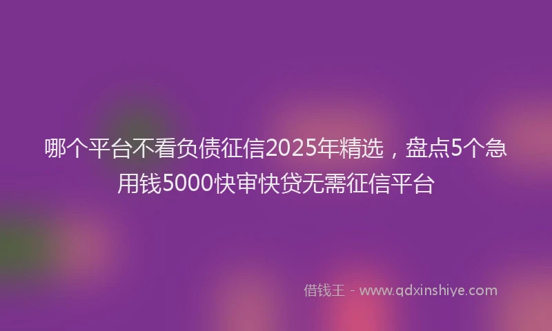 哪个平台不看负债征信2025年精选，盘点5个急用钱5000快审快贷无需征信平台