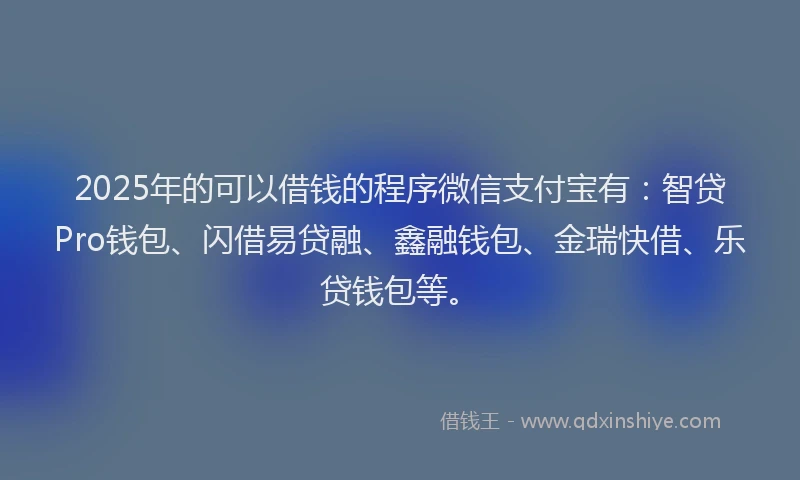 2025年的可以借钱的程序微信支付宝有：智贷Pro钱包、闪借易贷融、鑫融钱包、金瑞快借、乐贷钱包等。