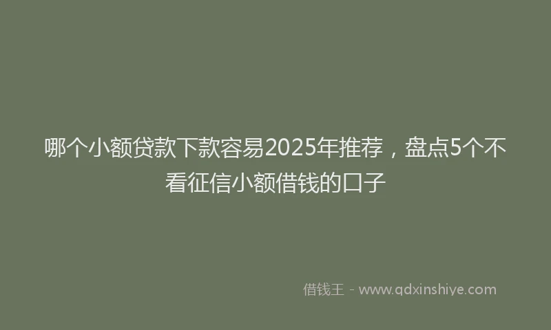 哪个小额贷款下款容易2025年推荐，盘点5个不看征信小额借钱的口子