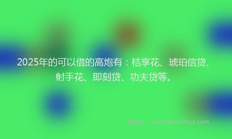 2025年的可以借的高炮有：桔享花、琥珀信贷、射手花、即刻贷、功夫贷等。