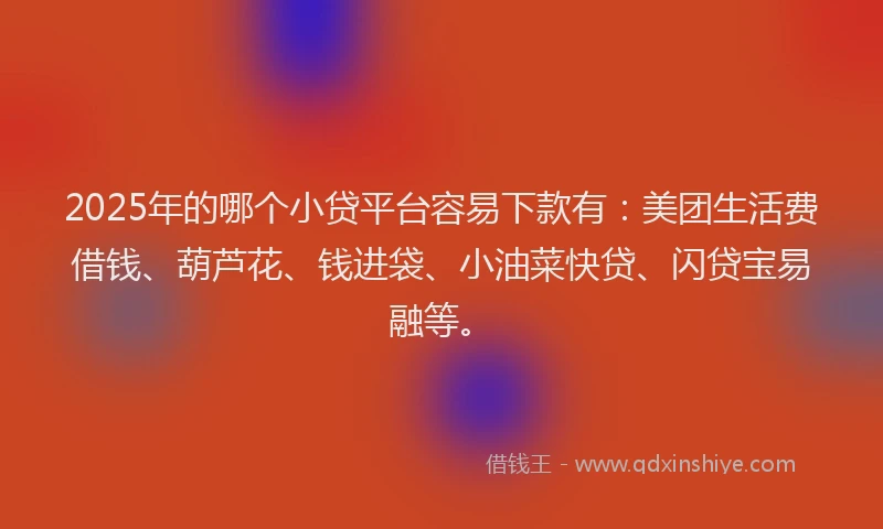 2025年的哪个小贷平台容易下款有：美团生活费借钱、葫芦花、钱进袋、小油菜快贷、闪贷宝易融等。