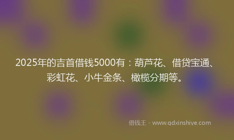 2025年的吉首借钱5000有：葫芦花、借贷宝通、彩虹花、小牛金条、橄榄分期等。