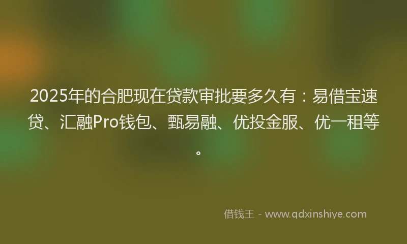 2025年的合肥现在贷款审批要多久有：易借宝速贷、汇融Pro钱包、甄易融、优投金服、优一租等。