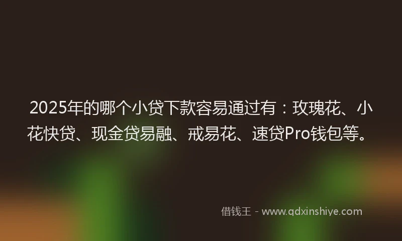 2025年的哪个小贷下款容易通过有:玫瑰花、小花快贷、现金贷易融、戒易花、速贷Pro钱包等。
