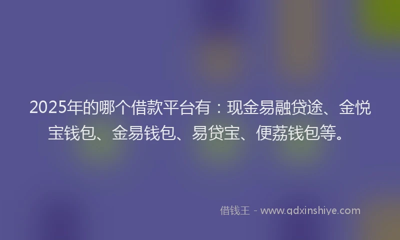 2025年的哪个借款平台有：现金易融贷途、金悦宝钱包、金易钱包、易贷宝、便荔钱包等。