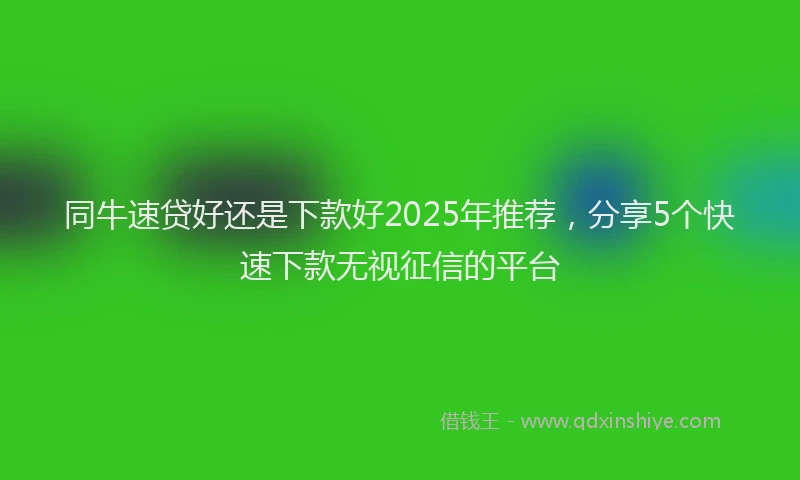 同牛速贷好还是下款好2025年推荐，分享5个快速下款无视征信的平台