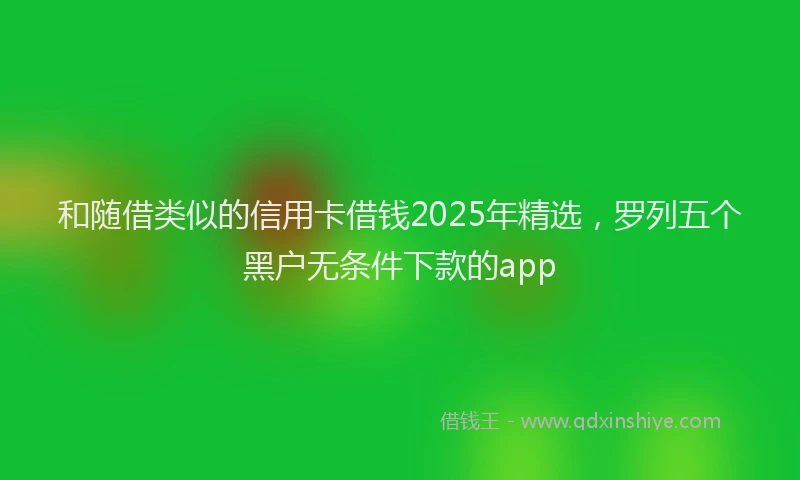 和随借类似的信用卡借钱2025年精选，罗列五个黑户无条件下款的app