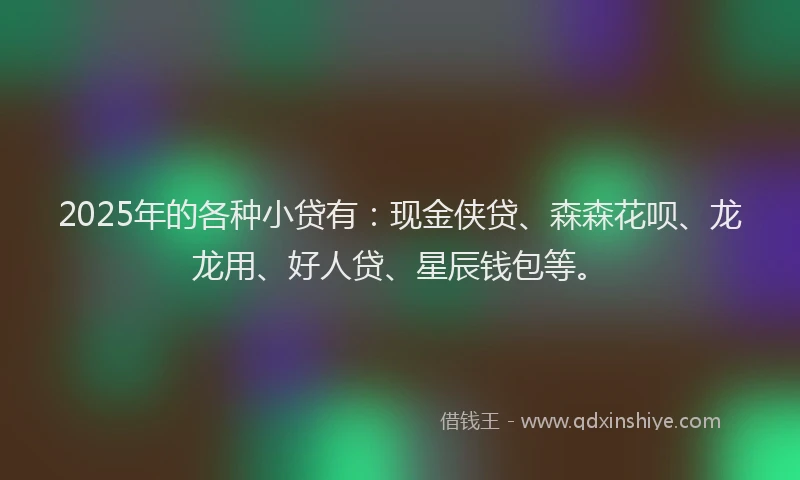 2025年的各种小贷有：现金侠贷、森森花呗、龙龙用、好人贷、星辰钱包等。