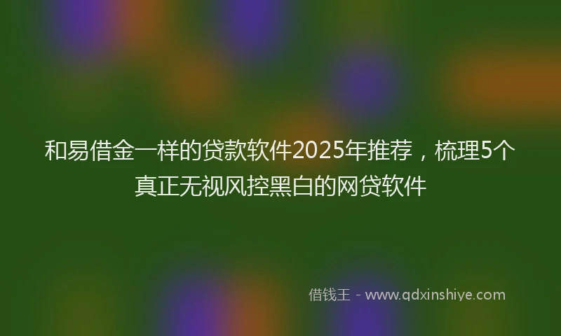 和易借金一样的贷款软件2025年推荐，梳理5个真正无视风控黑白的网贷软件