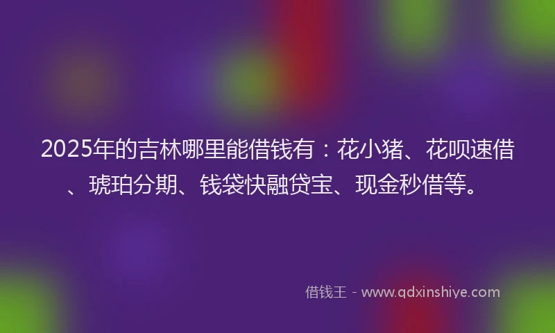 2025年的吉林哪里能借钱有：花小猪、花呗速借、琥珀分期、钱袋快融贷宝、现金秒借等。