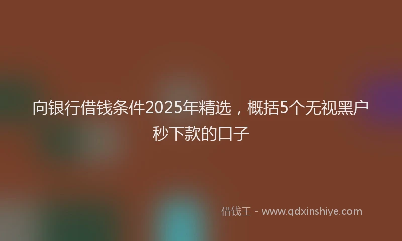 向银行借钱条件2025年精选，概括5个无视黑户秒下款的口子