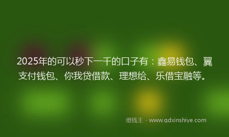 2025年的可以秒下一千的口子有：鑫易钱包、翼支付钱包、你我贷借款、理想给、乐借宝融等。