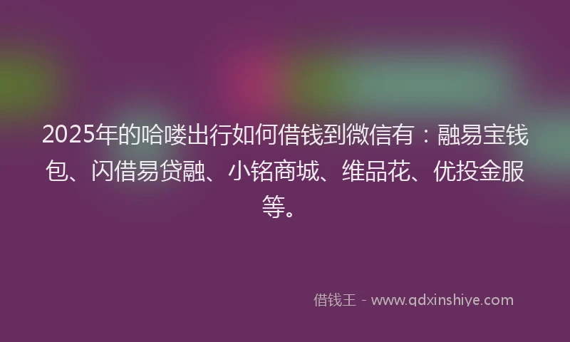 2025年的哈喽出行如何借钱到微信有：融易宝钱包、闪借易贷融、小铭商城、维品花、优投金服等。