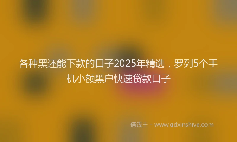 各种黑还能下款的口子2025年精选，罗列5个手机小额黑户快速贷款口子