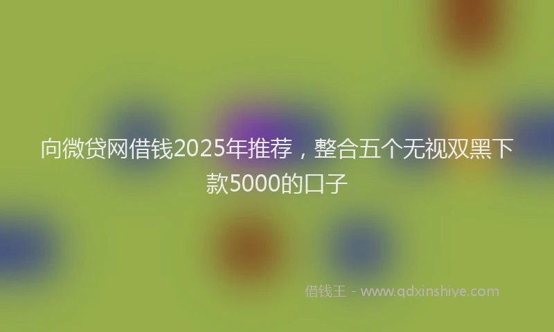 向微贷网借钱2025年推荐，整合五个无视双黑下款5000的口子