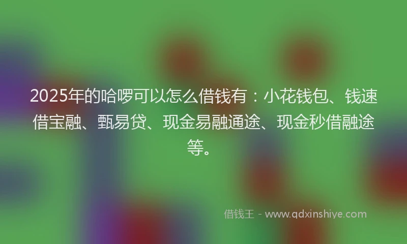 2025年的哈啰可以怎么借钱有：小花钱包、钱速借宝融、甄易贷、现金易融通途、现金秒借融途等。