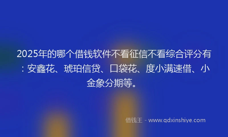 2025年的哪个借钱软件不看征信不看综合评分有：安鑫花、琥珀信贷、口袋花、度小满速借、小金象分期等。