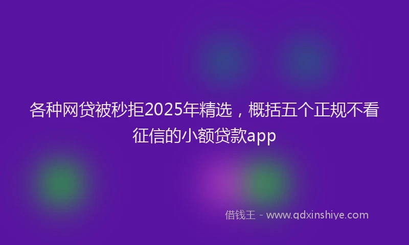 各种网贷被秒拒2025年精选，概括五个正规不看征信的小额贷款app
