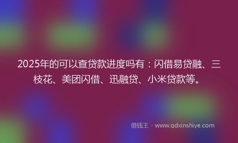 2025年的可以查贷款进度吗有：闪借易贷融、三枝花、美团闪借、迅融贷、小米贷款等。
