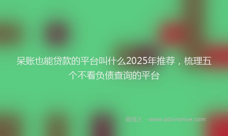 呆账也能贷款的平台叫什么2025年推荐，梳理五个不看负债查询的平台