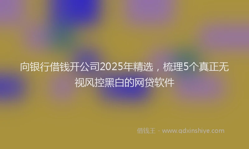 向银行借钱开公司2025年精选，梳理5个真正无视风控黑白的网贷软件