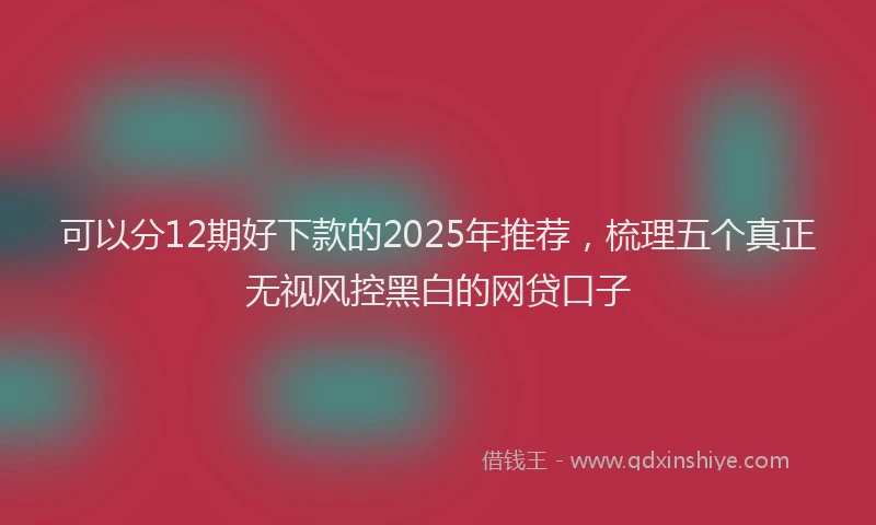 可以分12期好下款的2025年推荐，梳理五个真正无视风控黑白的网贷口子