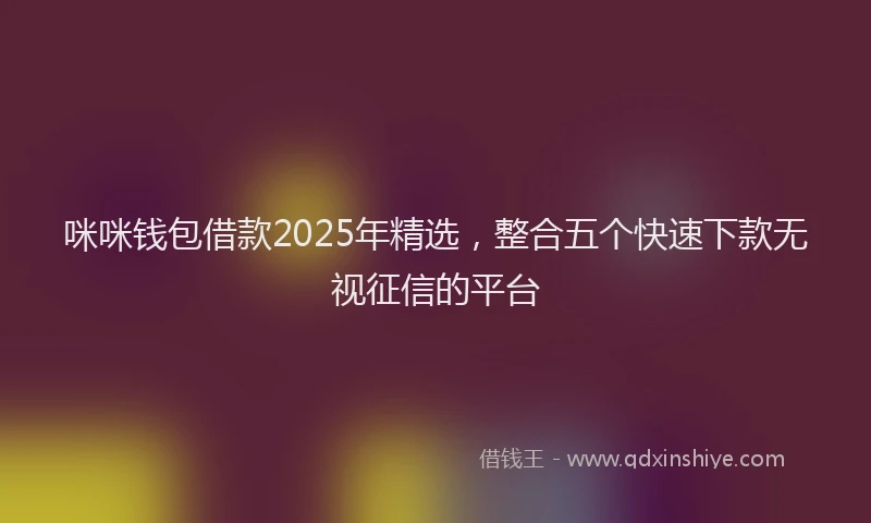 咪咪钱包借款2025年精选，整合五个快速下款无视征信的平台