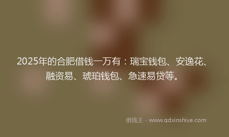 2025年的合肥借钱一万有：瑞宝钱包、安逸花、融资易、琥珀钱包、急速易贷等。