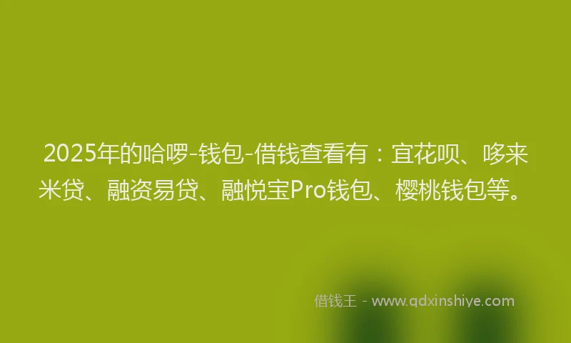 2025年的哈啰-钱包-借钱查看有：宜花呗、哆来米贷、融资易贷、融悦宝Pro钱包、樱桃钱包等。