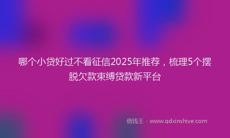 哪个小贷好过不看征信2025年推荐，梳理5个摆脱欠款束缚贷款新平台