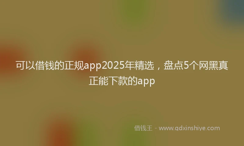 可以借钱的正规app2025年精选，盘点5个网黑真正能下款的app
