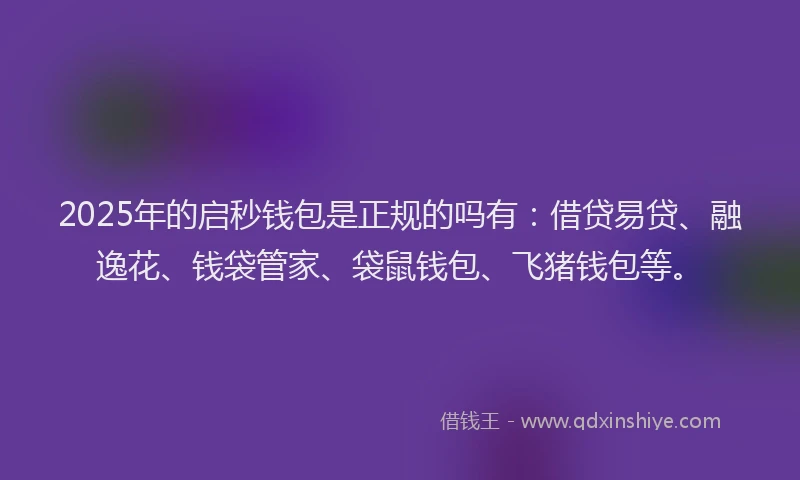 2025年的启秒钱包是正规的吗有：借贷易贷、融逸花、钱袋管家、袋鼠钱包、飞猪钱包等。