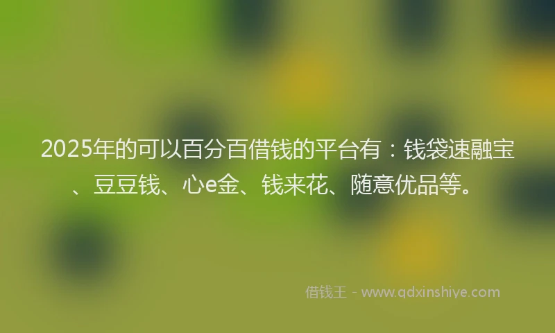 2025年的可以百分百借钱的平台有：钱袋速融宝、豆豆钱、心e金、钱来花、随意优品等。