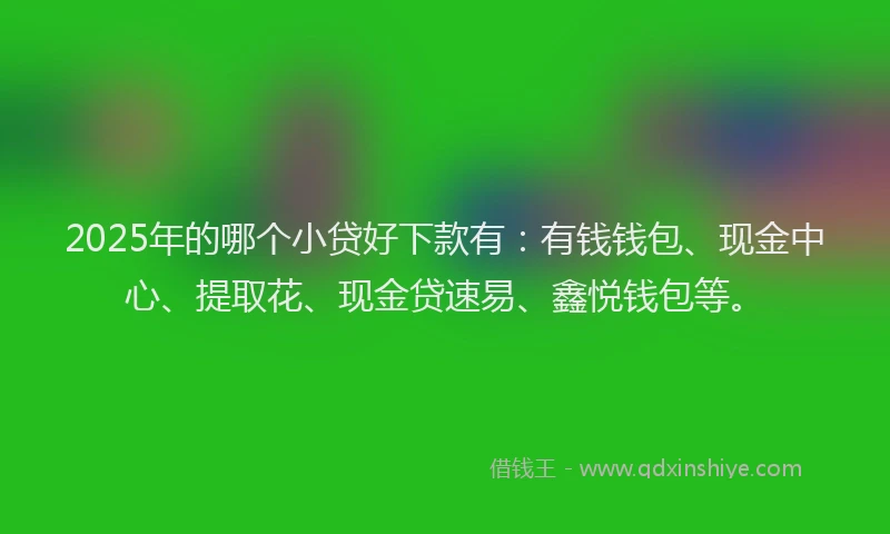 2025年的哪个小贷好下款有:有钱钱包、现金中心、提取花、现金贷速易、鑫悦钱包等。