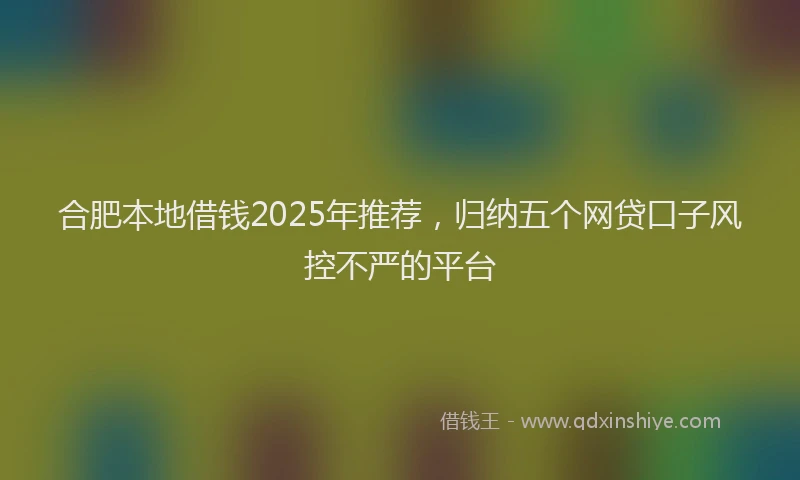 合肥本地借钱2025年推荐，归纳五个网贷口子风控不严的平台