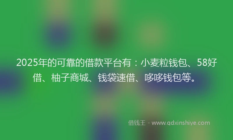 2025年的可靠的借款平台有：小麦粒钱包、58好借、柚子商城、钱袋速借、哆哆钱包等。