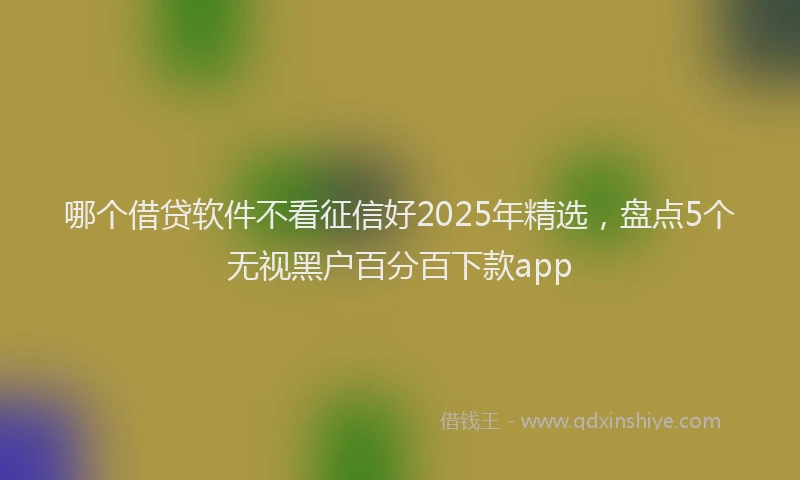 哪个借贷软件不看征信好2025年精选，盘点5个无视黑户百分百下款app