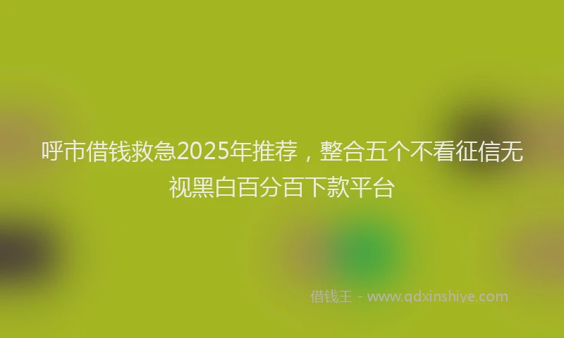 呼市借钱救急2025年推荐，整合五个不看征信无视黑白百分百下款平台