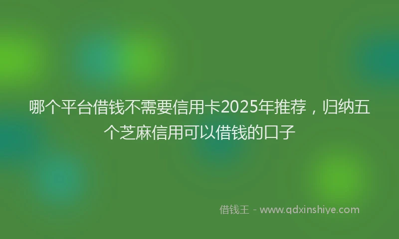 哪个平台借钱不需要信用卡2025年推荐，归纳五个芝麻信用可以借钱的口子