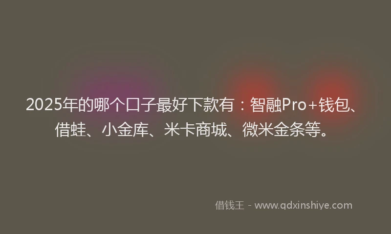 2025年的哪个口子最好下款有：智融Pro+钱包、借蛙、小金库、米卡商城、微米金条等。