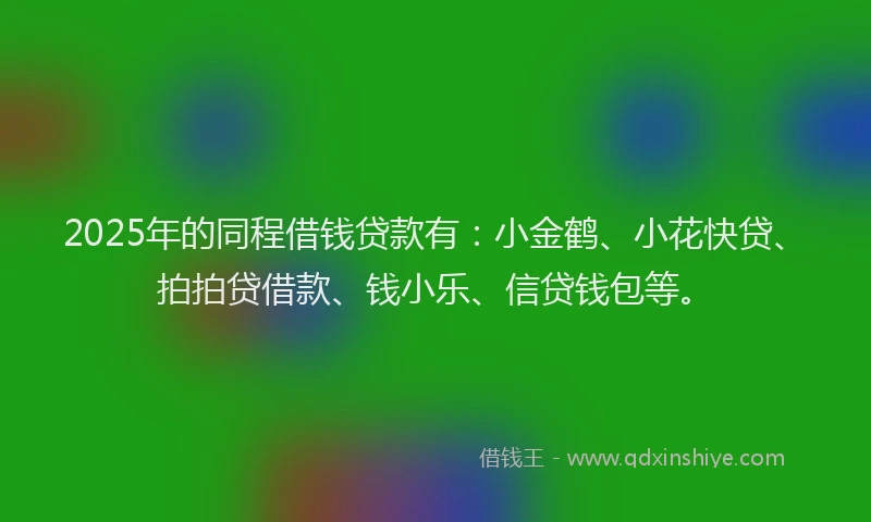 2025年的同程借钱贷款有：小金鹤、小花快贷、拍拍贷借款、钱小乐、信贷钱包等。