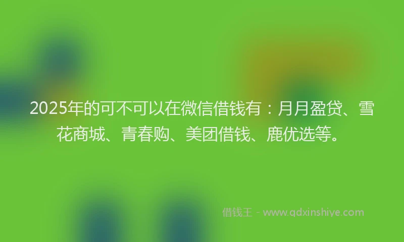 2025年的可不可以在微信借钱有：月月盈贷、雪花商城、青春购、美团借钱、鹿优选等。