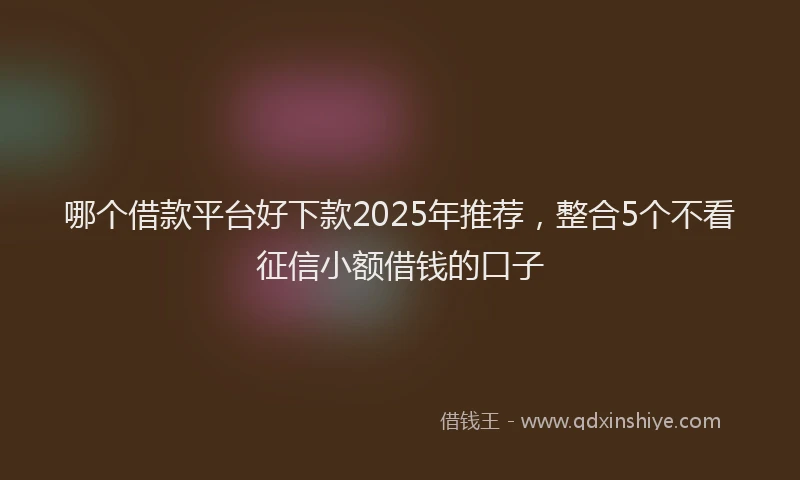 哪个借款平台好下款2025年推荐，整合5个不看征信小额借钱的口子