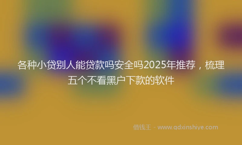 各种小贷别人能贷款吗安全吗2025年推荐，梳理五个不看黑户下款的软件