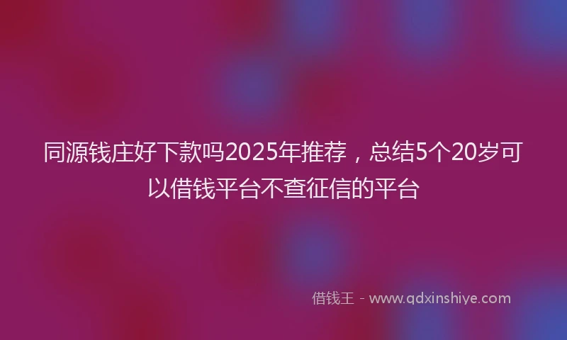 同源钱庄好下款吗2025年推荐，总结5个20岁可以借钱平台不查征信的平台