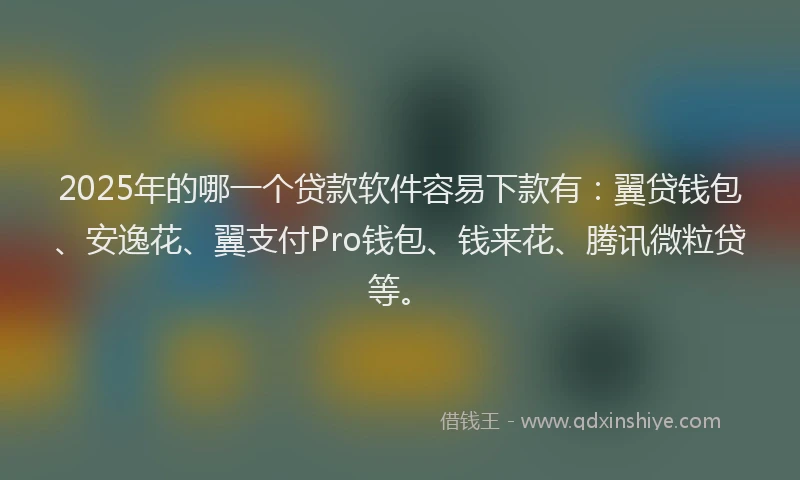 2025年的哪一个贷款软件容易下款有：翼贷钱包、安逸花、翼支付Pro钱包、钱来花、腾讯微粒贷等。