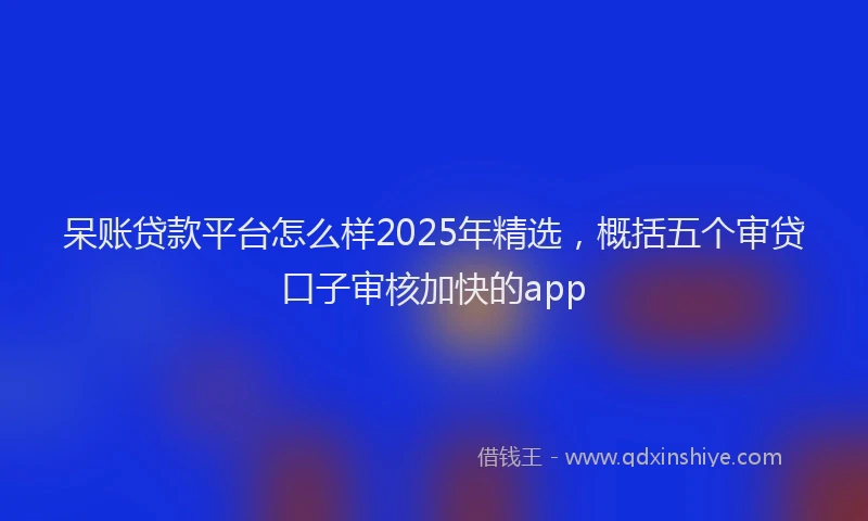 呆账贷款平台怎么样2025年精选，概括五个审贷口子审核加快的app