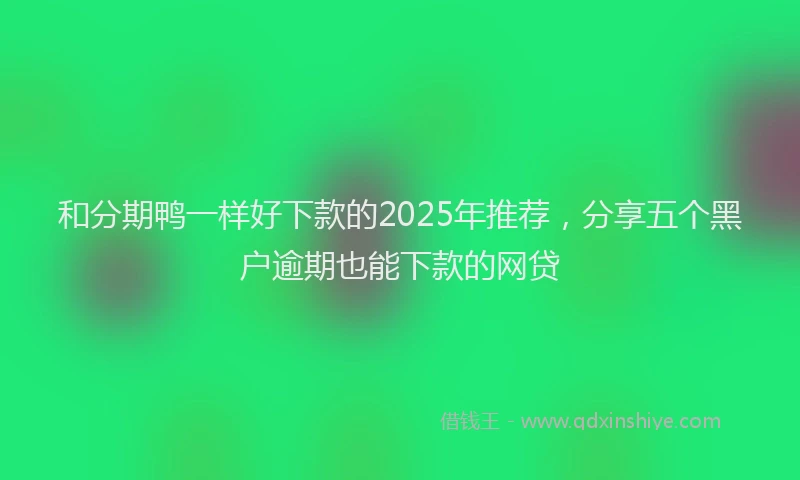 和分期鸭一样好下款的2025年推荐，分享五个黑户逾期也能下款的网贷