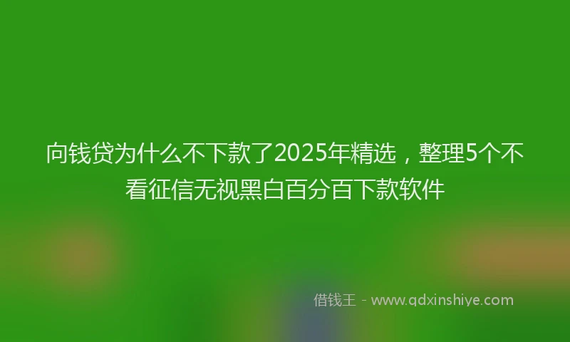 向钱贷为什么不下款了2025年精选，整理5个不看征信无视黑白百分百下款软件