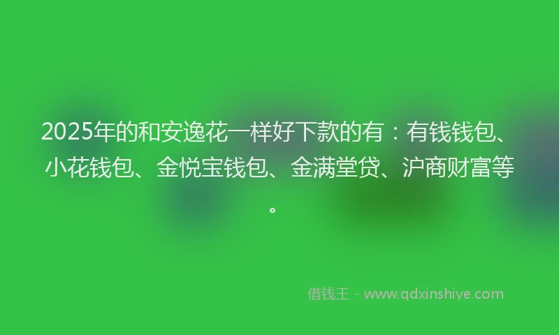 2025年的和安逸花一样好下款的有：有钱钱包、小花钱包、金悦宝钱包、金满堂贷、沪商财富等。